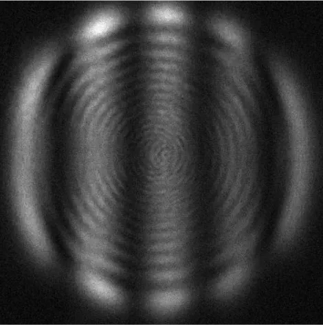 Light-scattering diffraction pattern captured by the optical reader, showing the characteristic concentric ring structure produced by light scattered from a single fungal cell